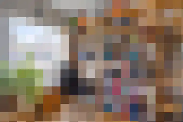 Andoorn 35 Oldenzaal thumbnail 22