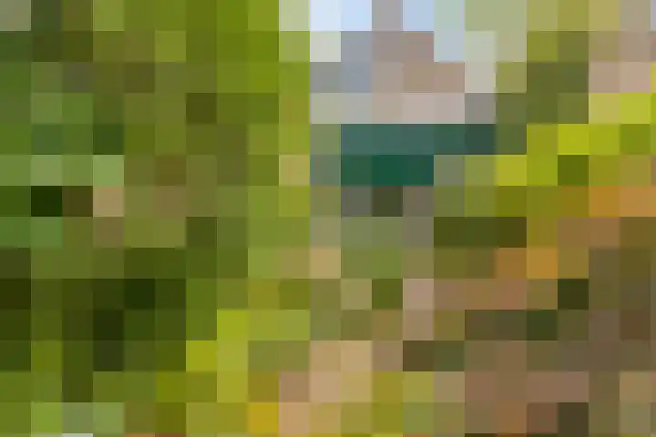 Andoorn 35 Oldenzaal thumbnail 23