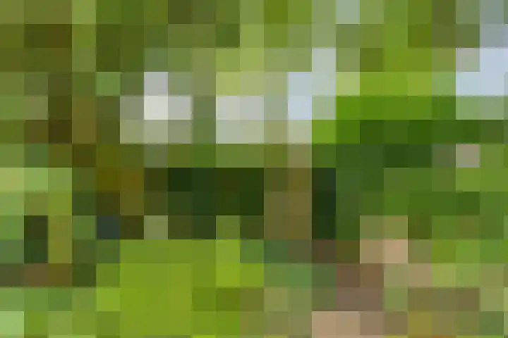 Andoorn 35 Oldenzaal thumbnail 26