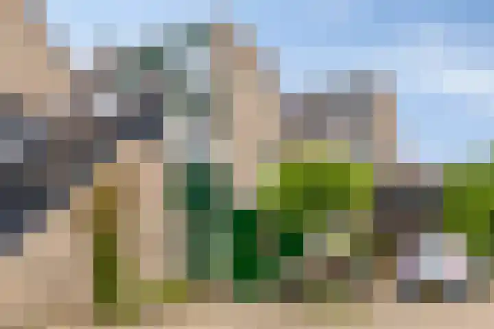 Andoorn 35 Oldenzaal thumbnail 33