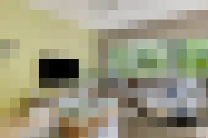 Andoorn 35 Oldenzaal thumbnail 6