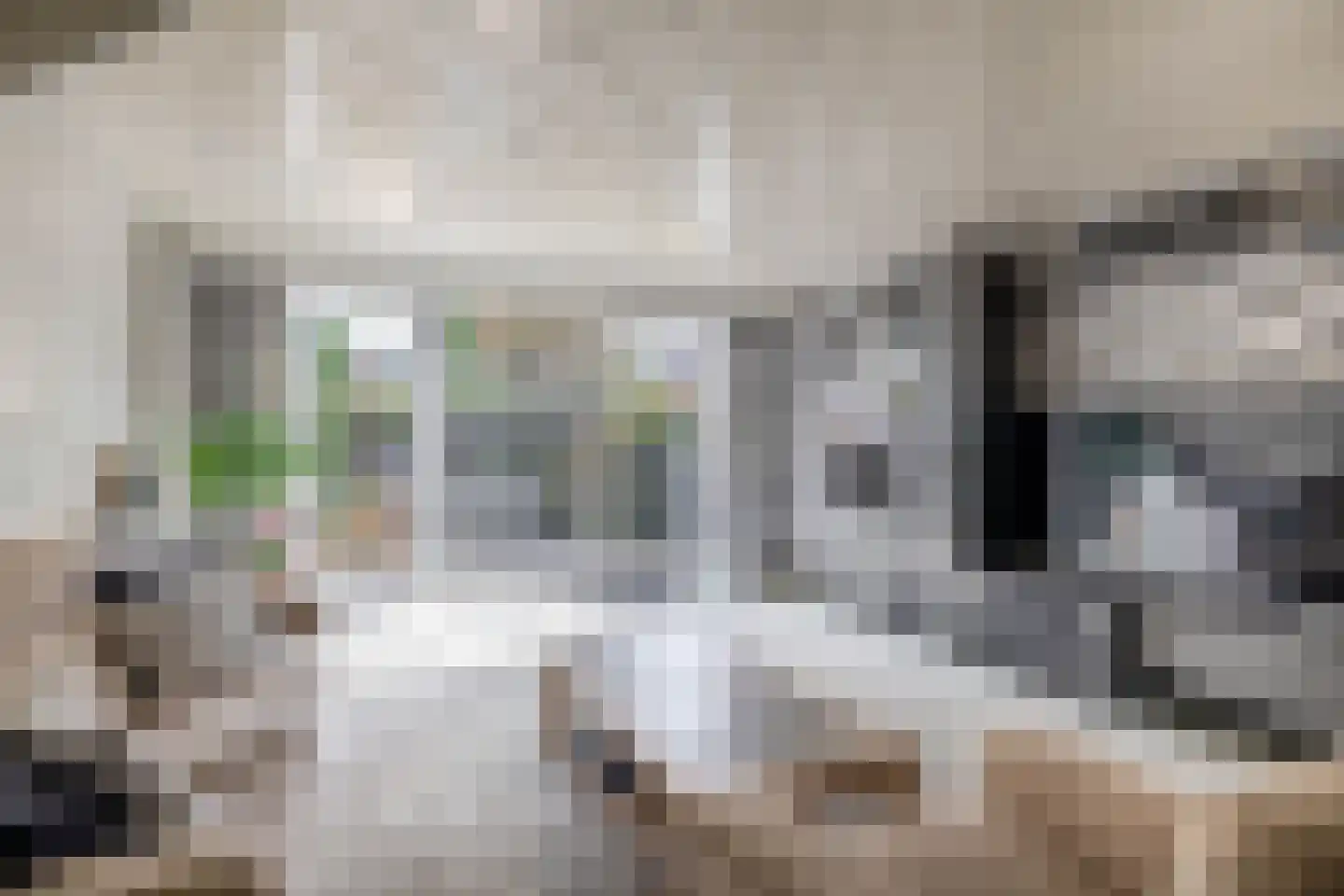 Andoorn 5 Rotterdam thumbnail 11