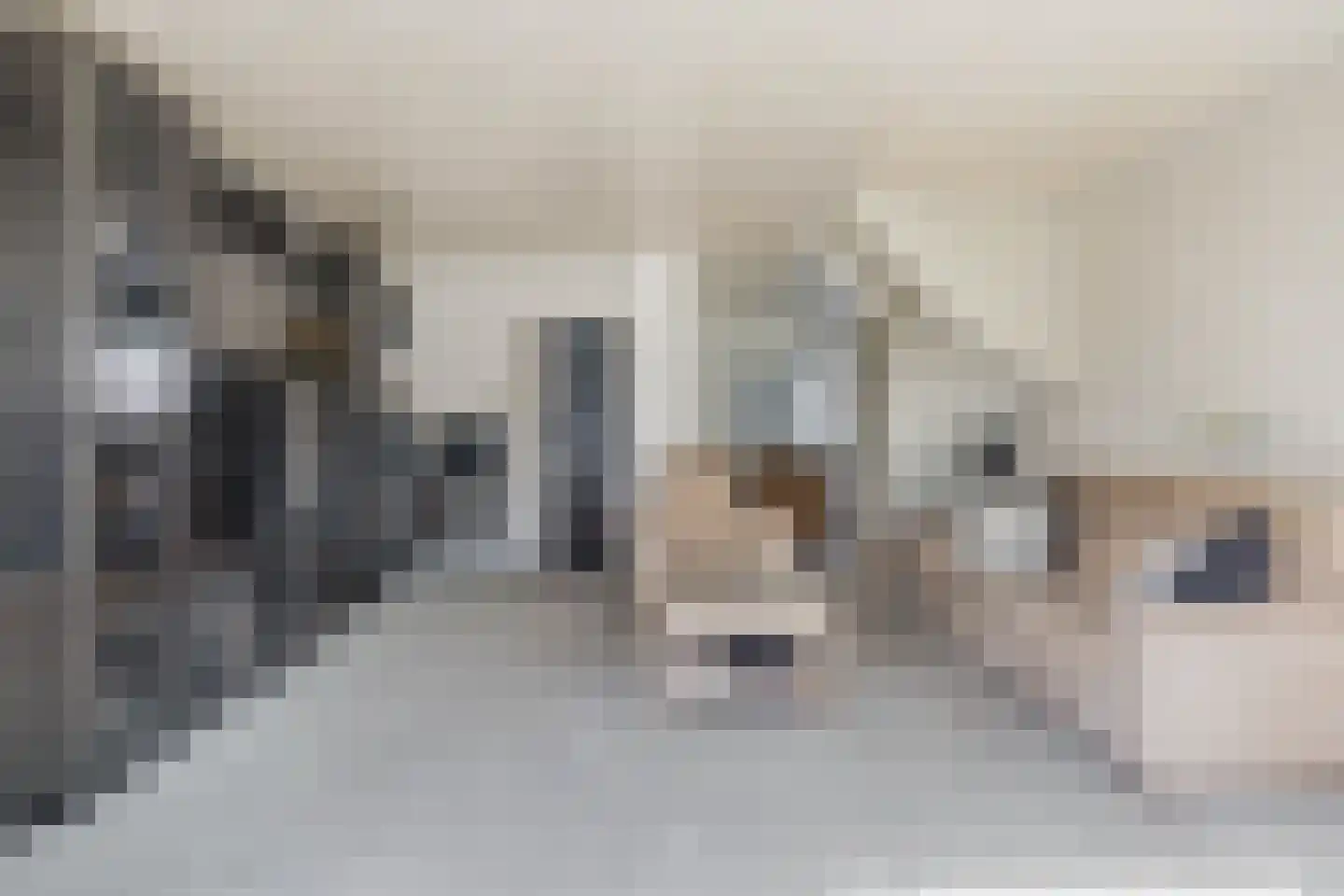 Andoorn 5 Rotterdam thumbnail 12