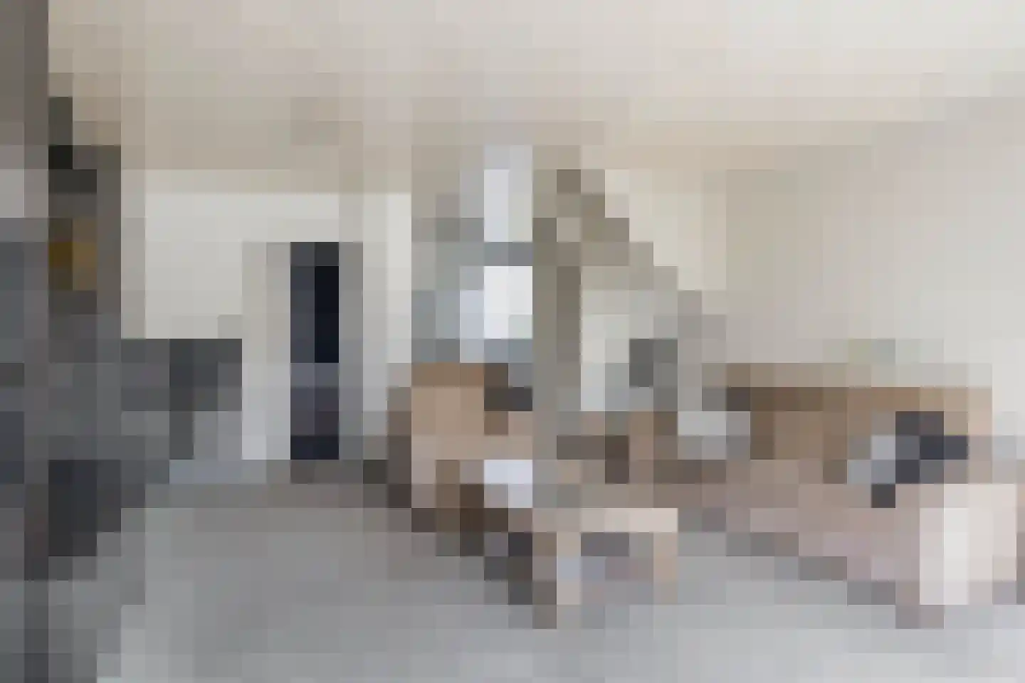 Andoorn 5 Rotterdam thumbnail 13