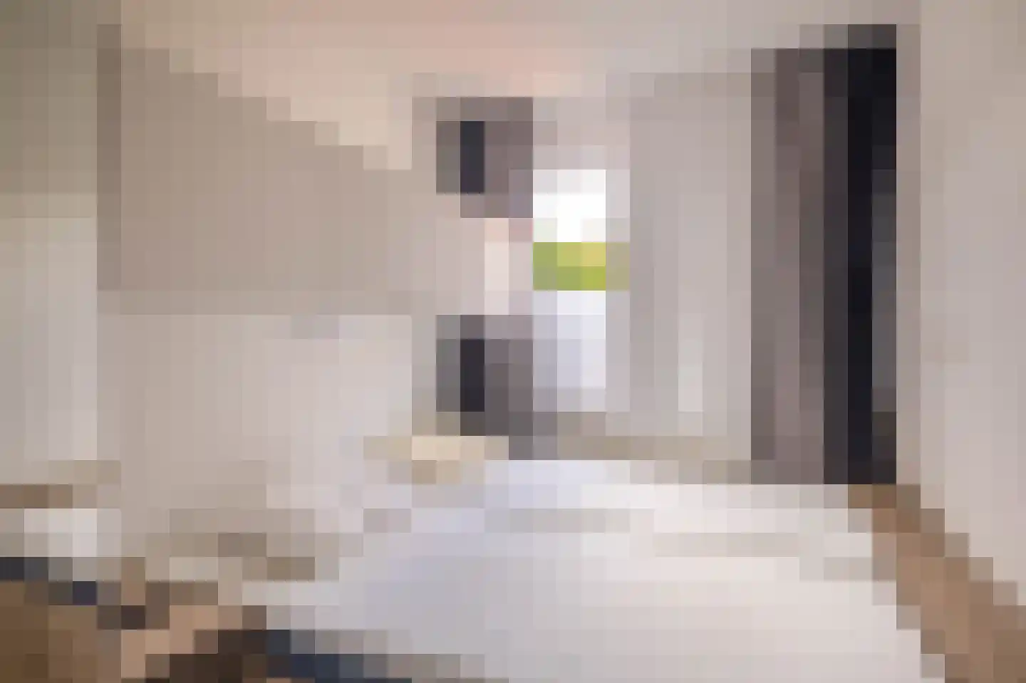 Andoorn 5 Rotterdam thumbnail 14