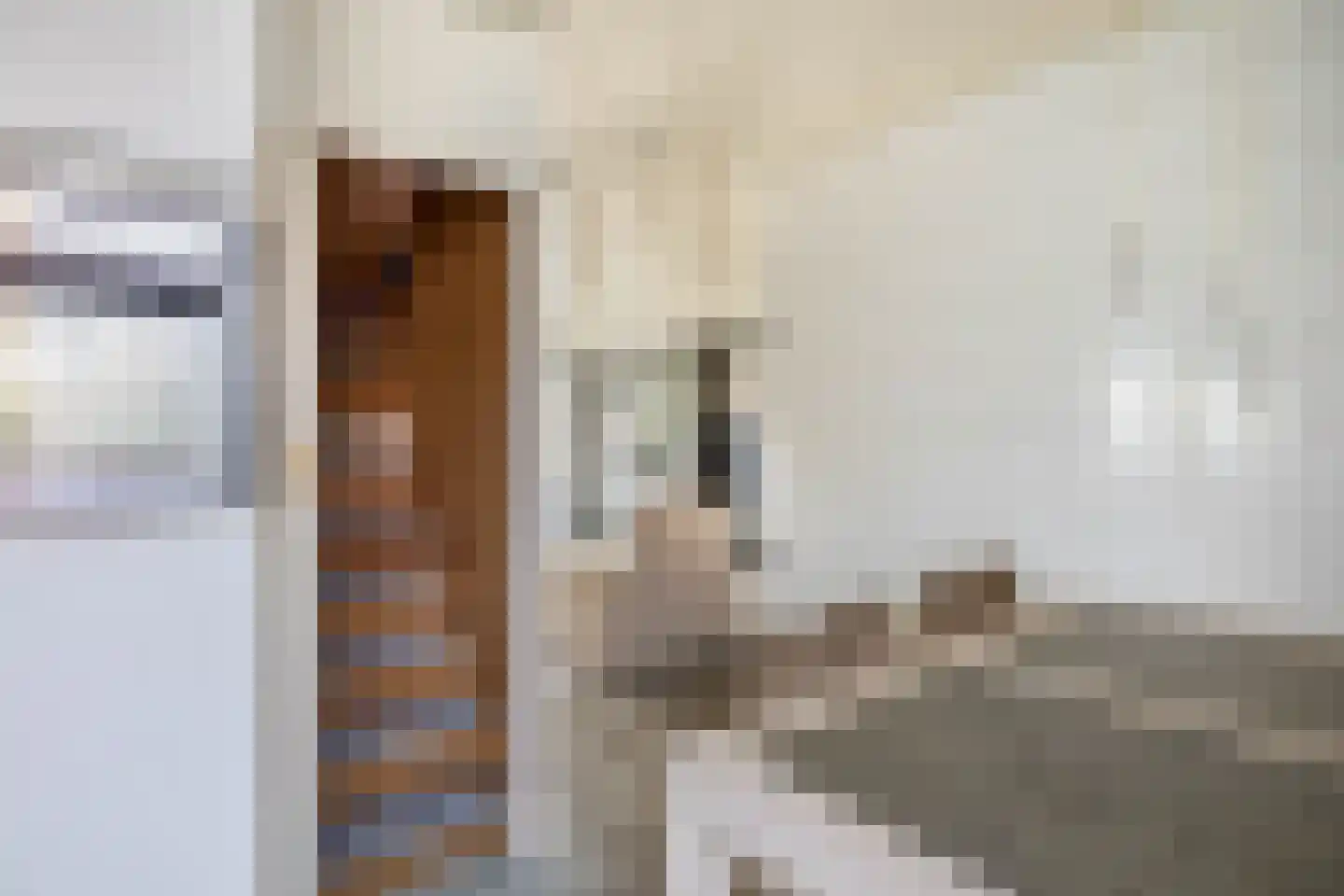 Andoorn 5 Rotterdam thumbnail 17