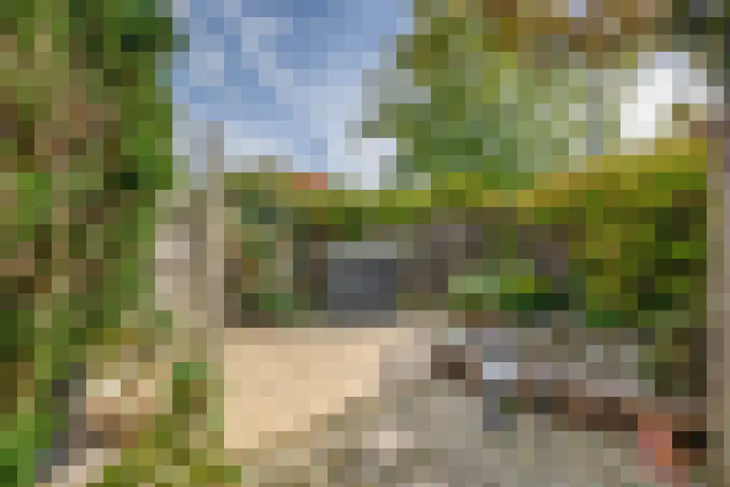 Andoorn 5 Rotterdam thumbnail 18