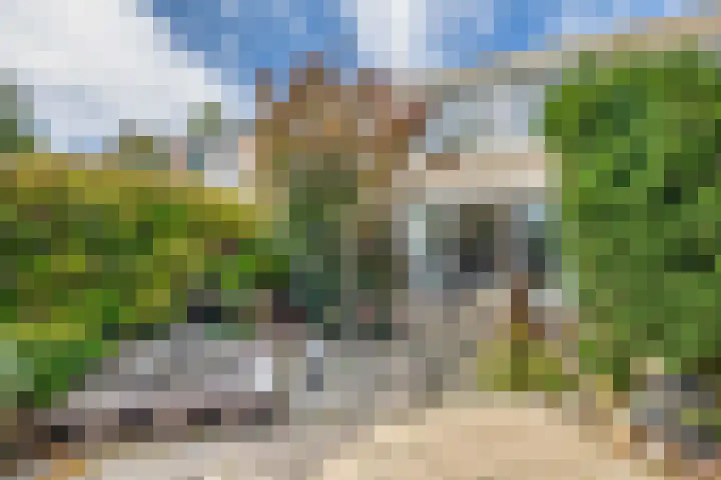 Andoorn 5 Rotterdam thumbnail 19