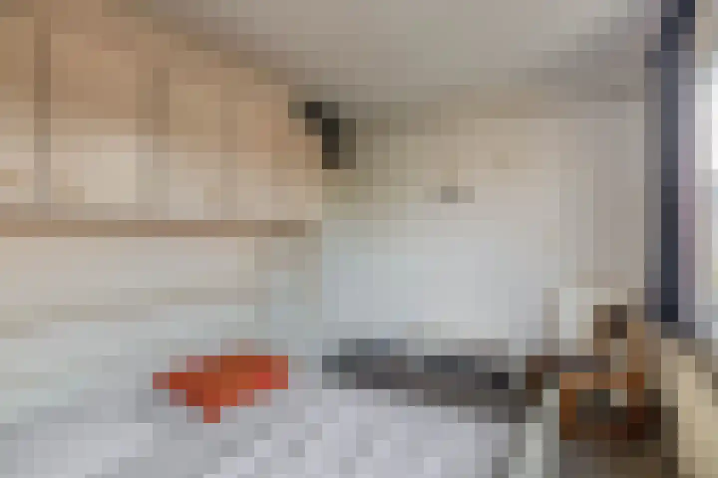Andoorn 5 Rotterdam thumbnail 22