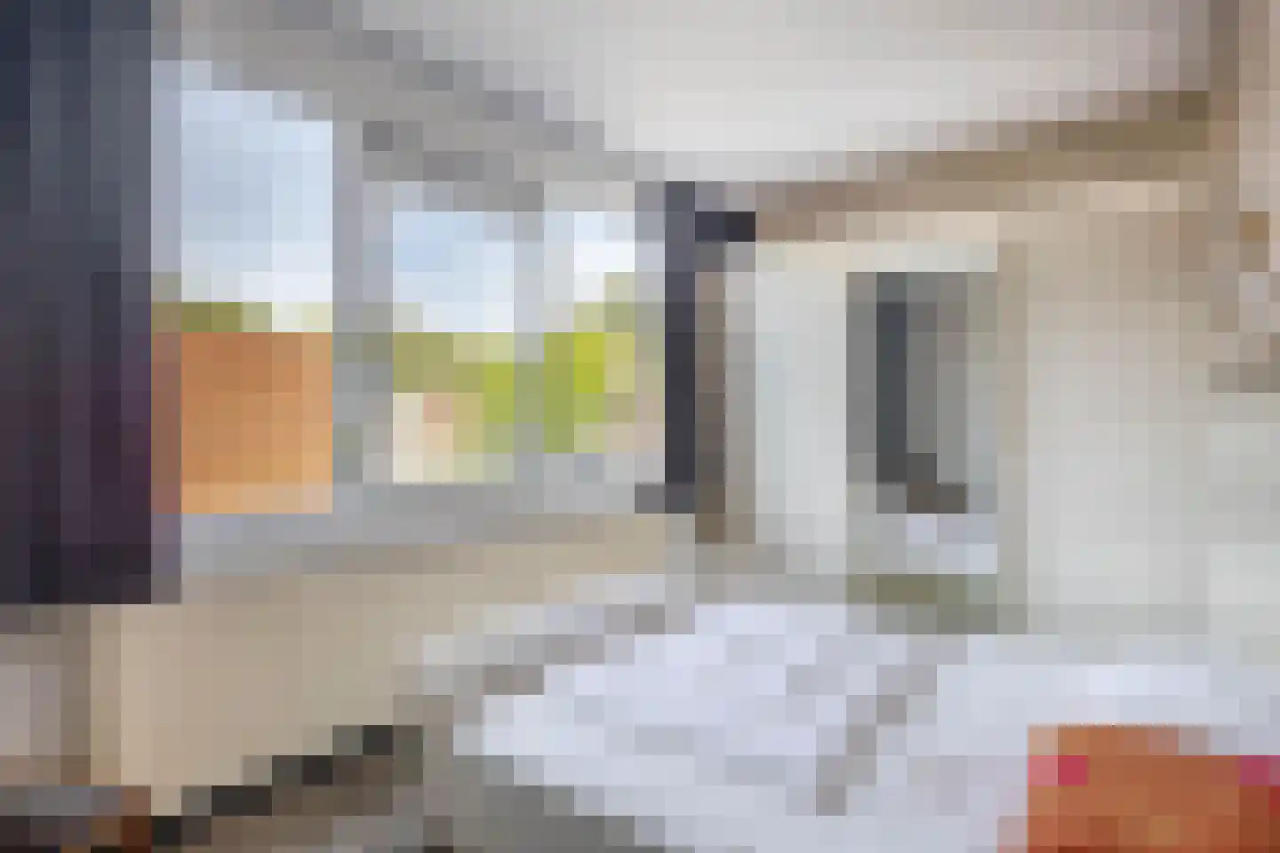 Andoorn 5 Rotterdam thumbnail 23