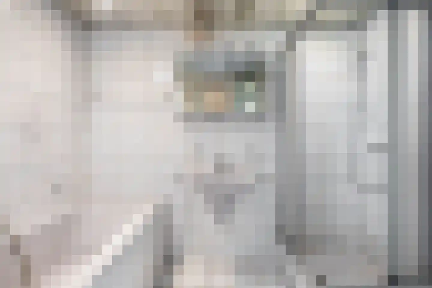 Andoorn 5 Rotterdam thumbnail 24