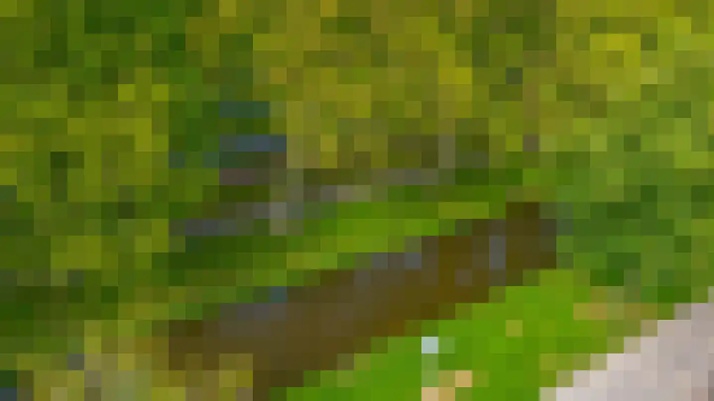 Andoorn 5 Rotterdam thumbnail 31