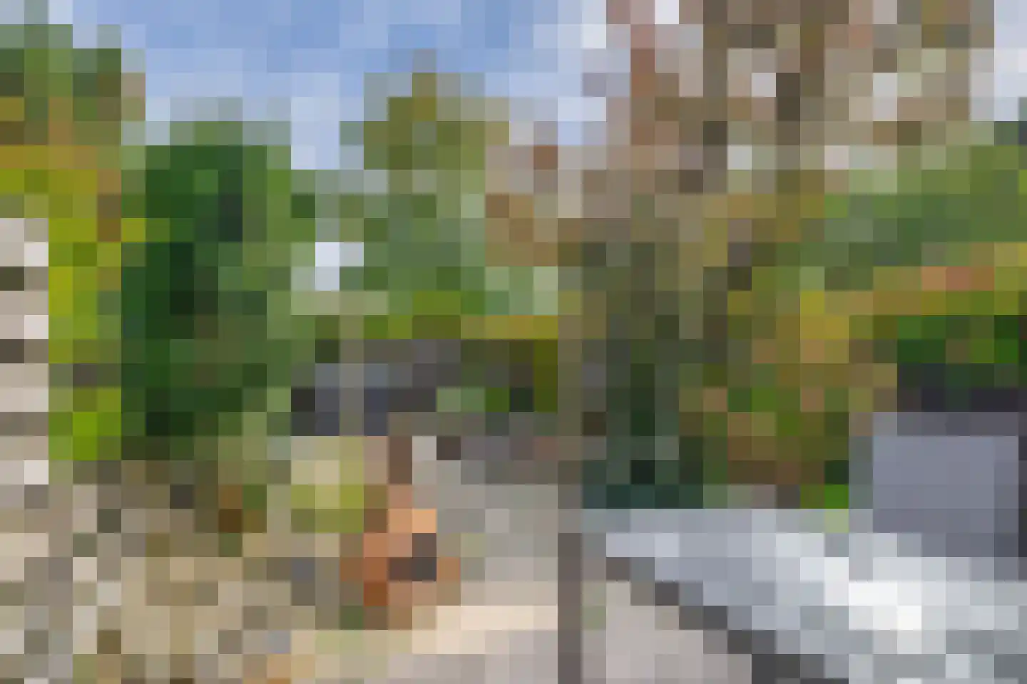 Andoorn 5 Rotterdam thumbnail 5