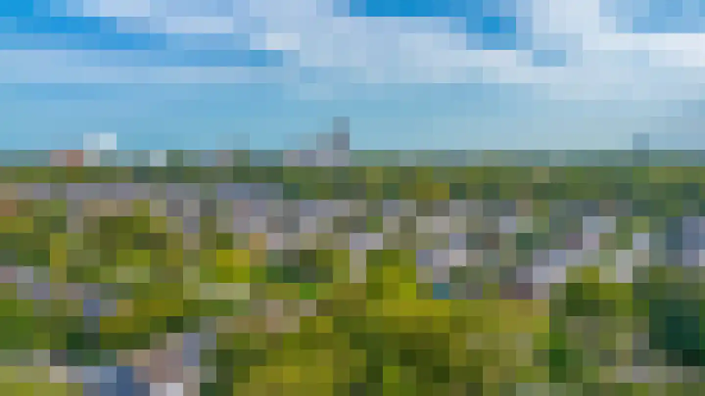 Andoorn 5 Rotterdam thumbnail 6