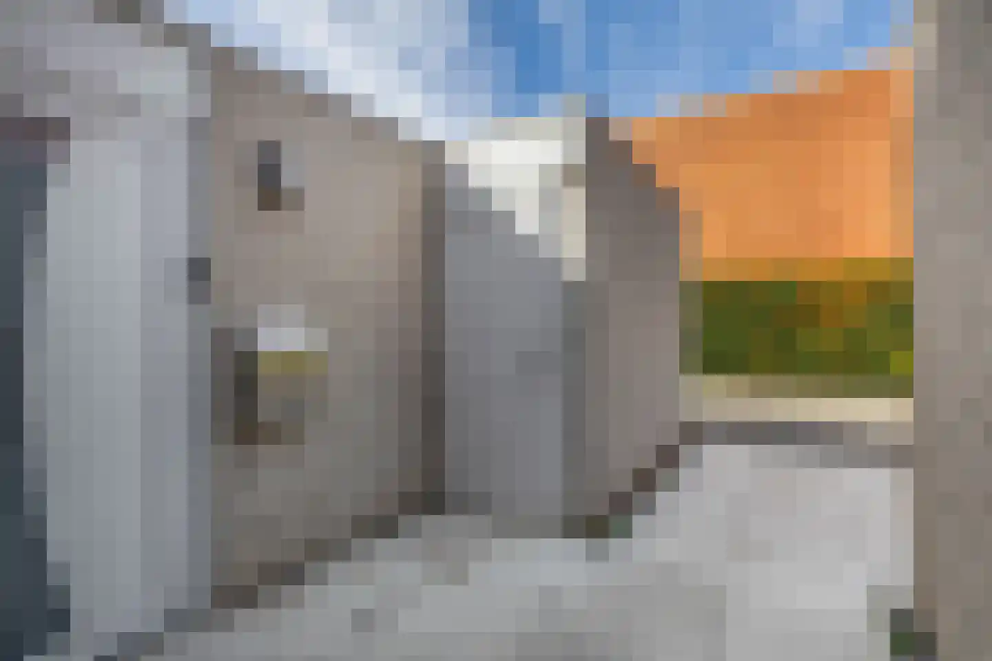 Andoorn 5 Rotterdam thumbnail 9