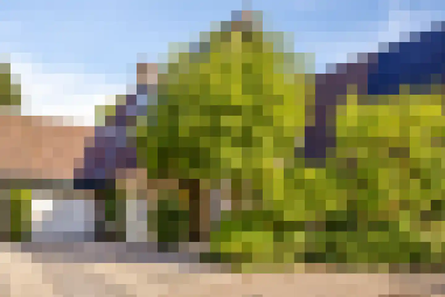 Andoorn 63 Oldenzaal