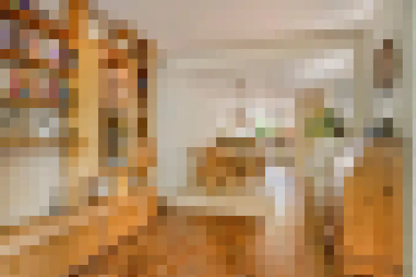 Andoorn 63 Oldenzaal thumbnail 11