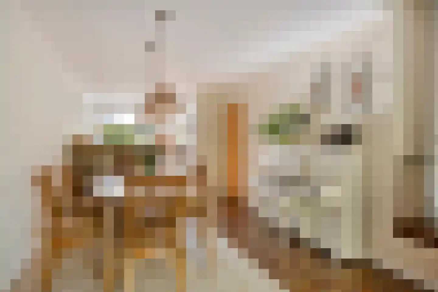 Andoorn 63 Oldenzaal thumbnail 13