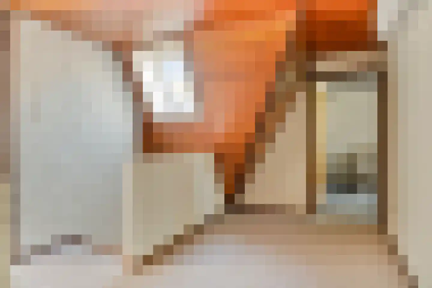 Andoorn 63 Oldenzaal thumbnail 19