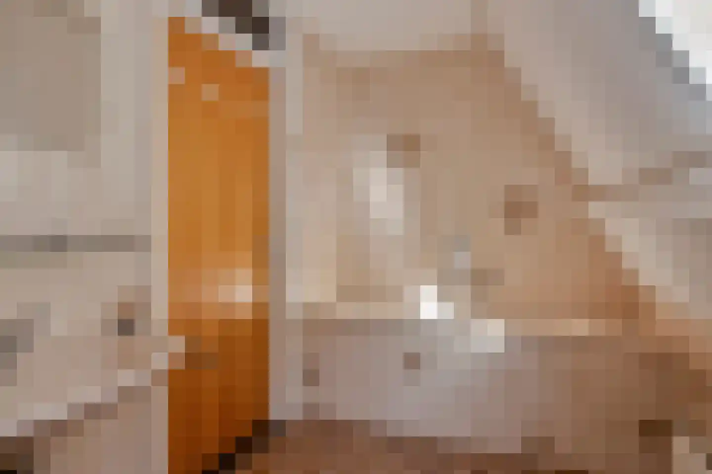 Andoorn 63 Oldenzaal thumbnail 26