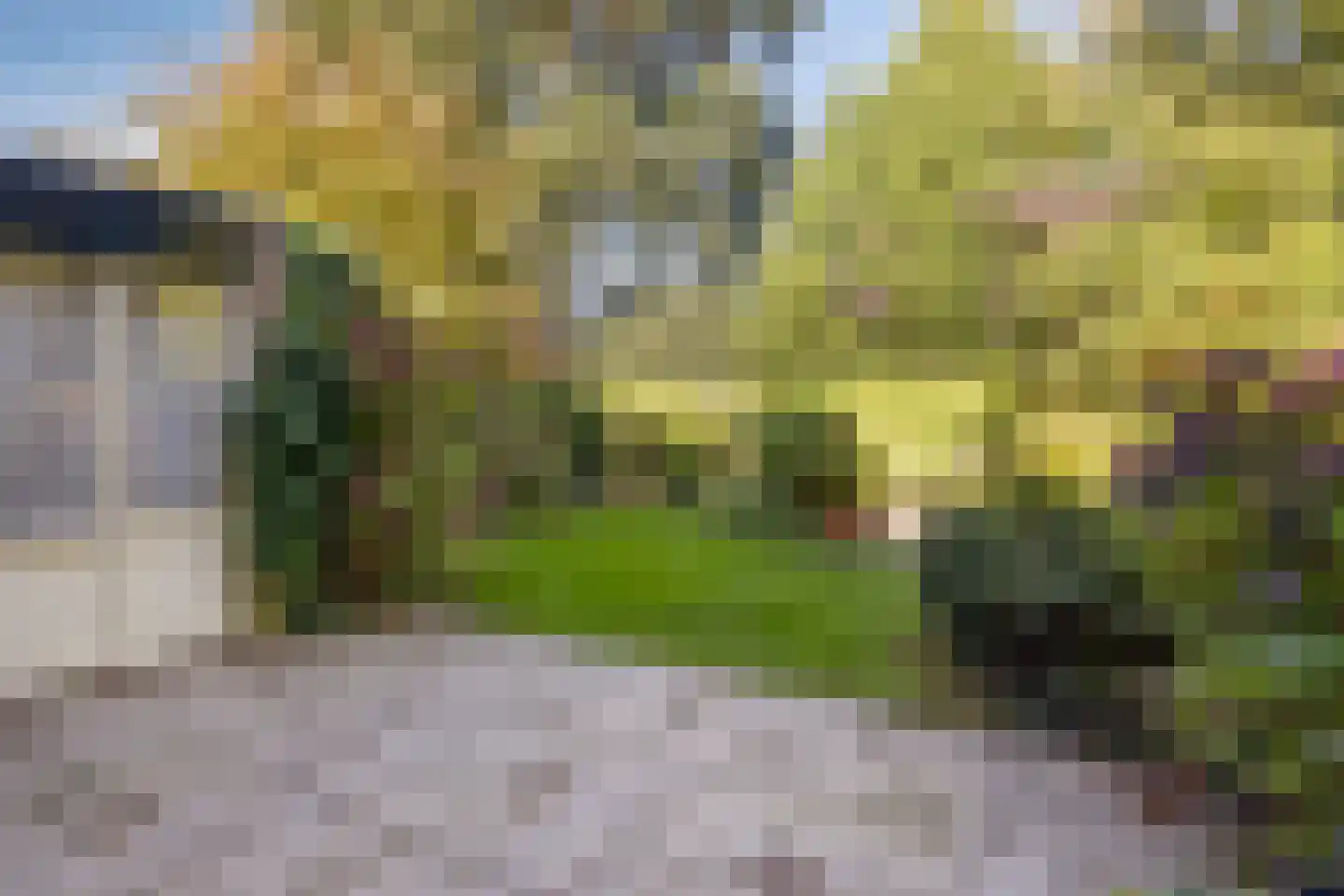 Andoorn 63 Oldenzaal thumbnail 31
