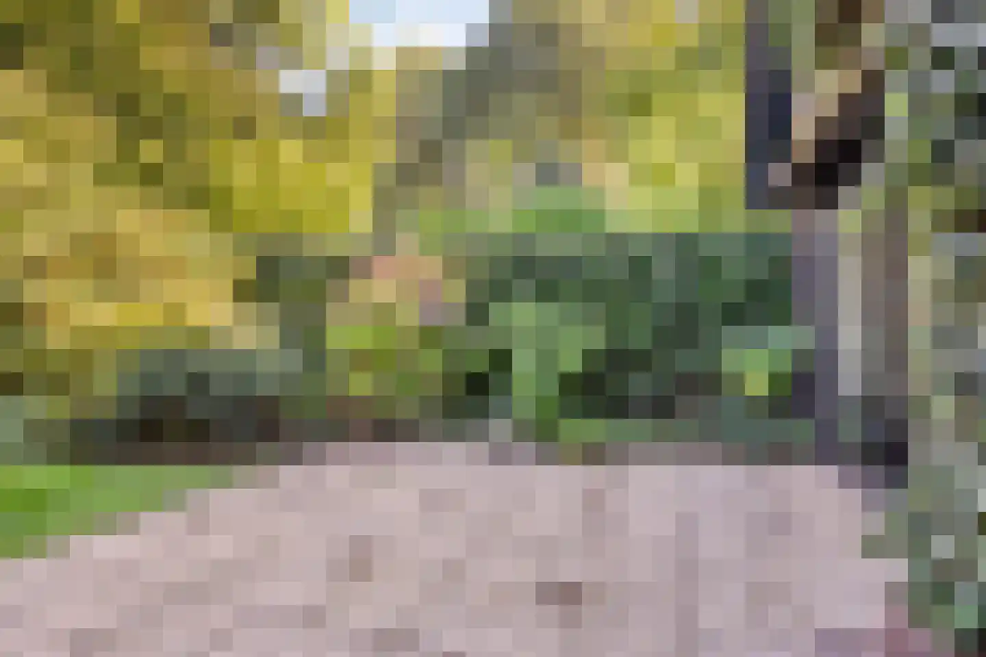 Andoorn 63 Oldenzaal thumbnail 32