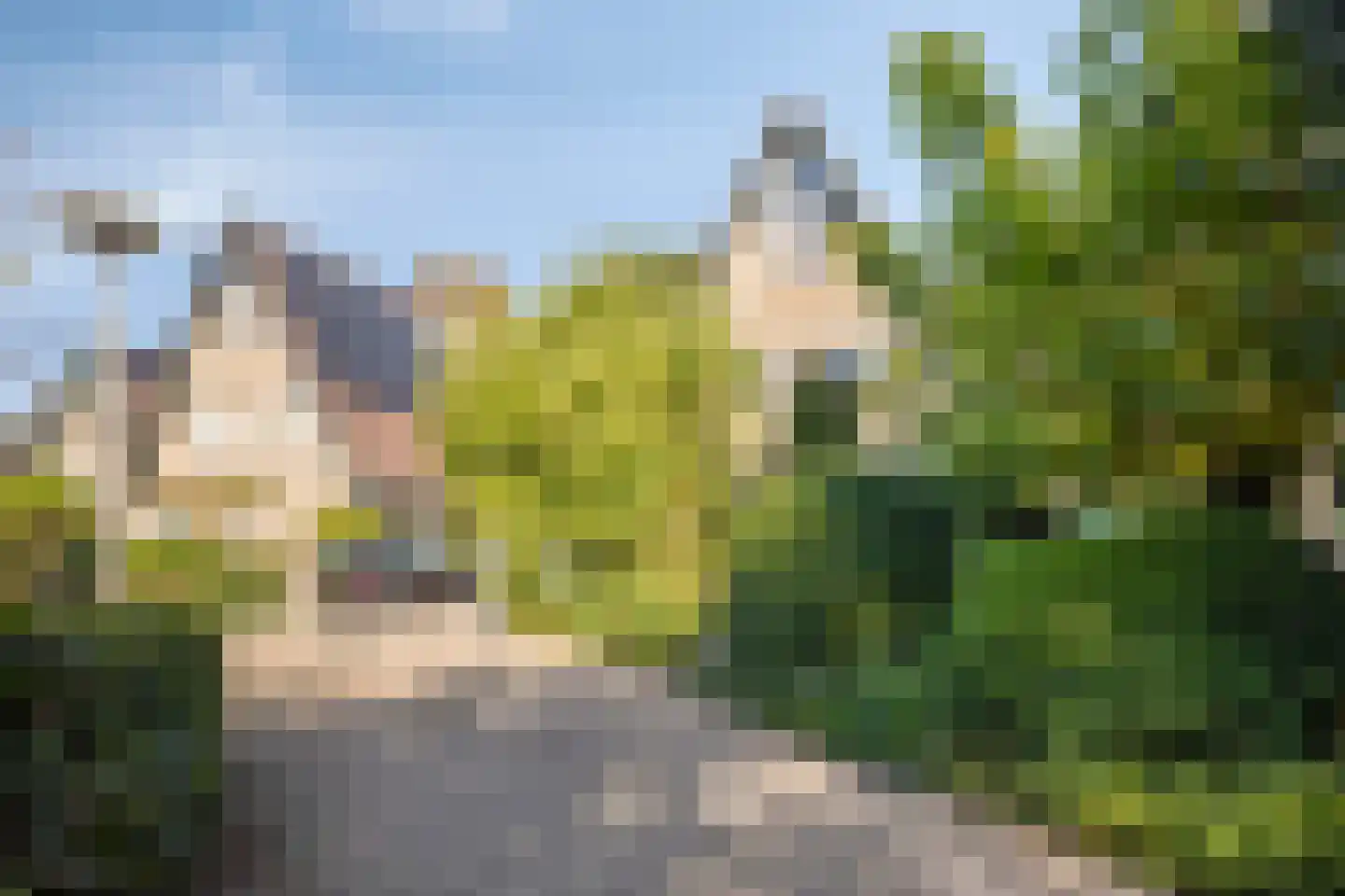 Andoorn 63 Oldenzaal thumbnail 35
