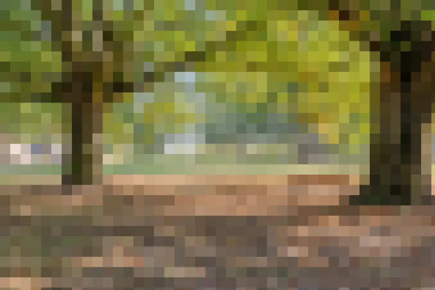 Andoorn 63 Oldenzaal thumbnail 36