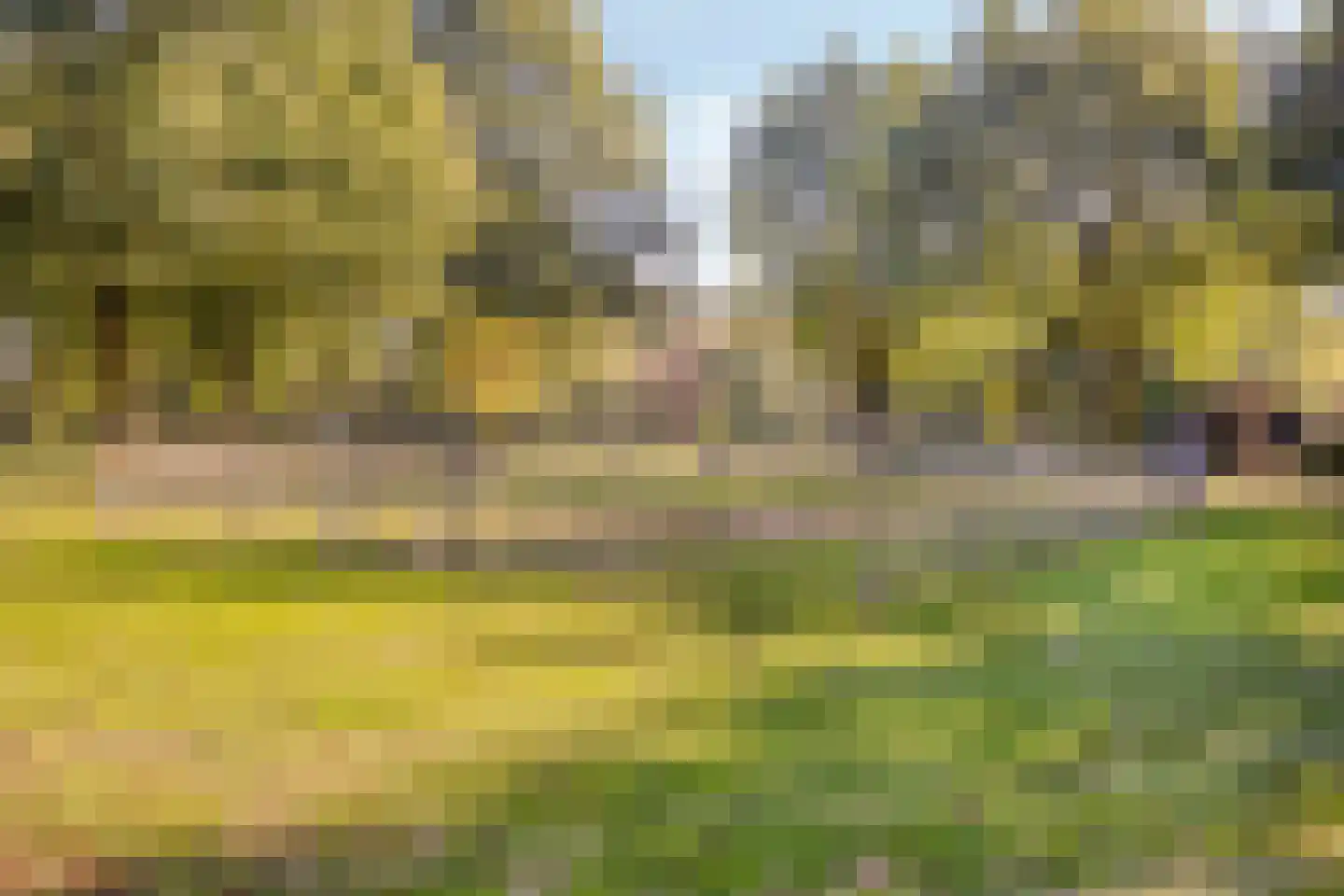 Andoorn 63 Oldenzaal thumbnail 37