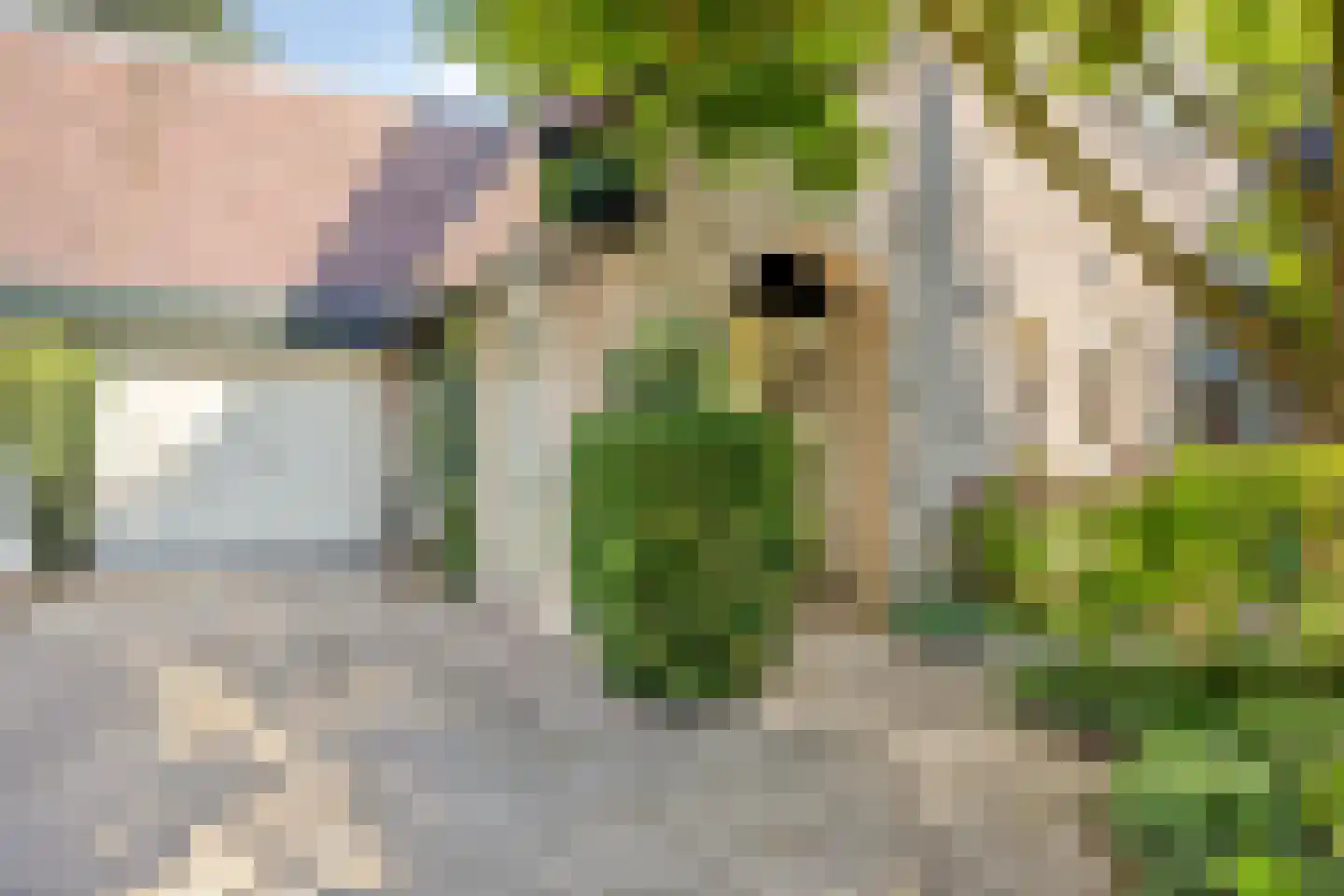 Andoorn 63 Oldenzaal thumbnail 5