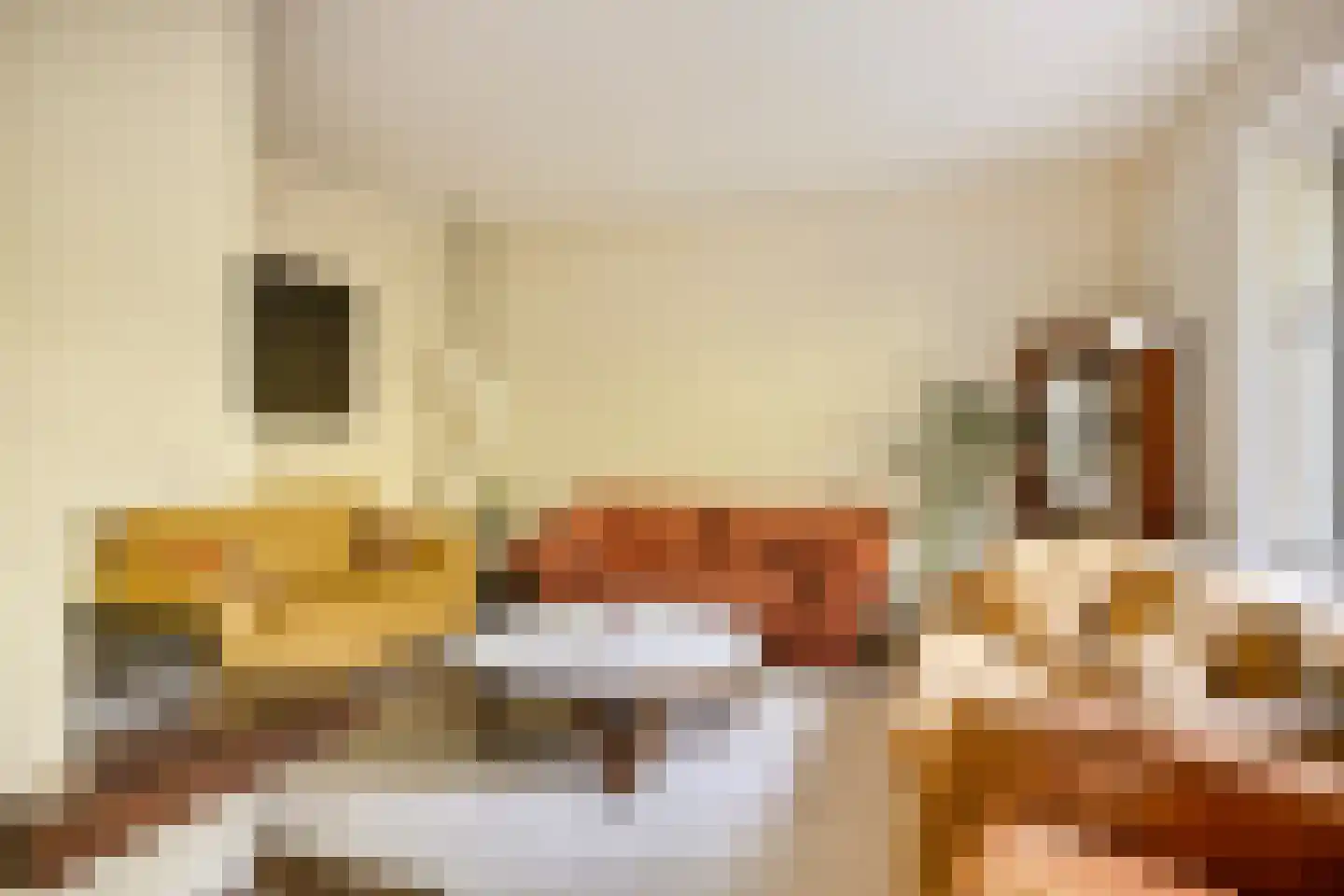 Andoorn 63 Oldenzaal thumbnail 6