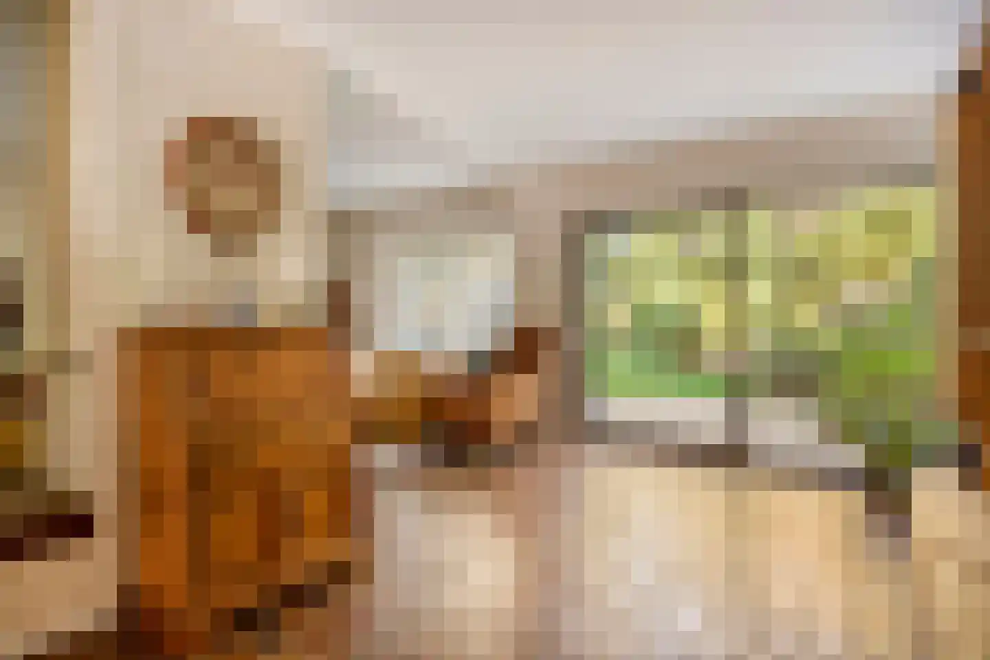 Andoorn 63 Oldenzaal thumbnail 9
