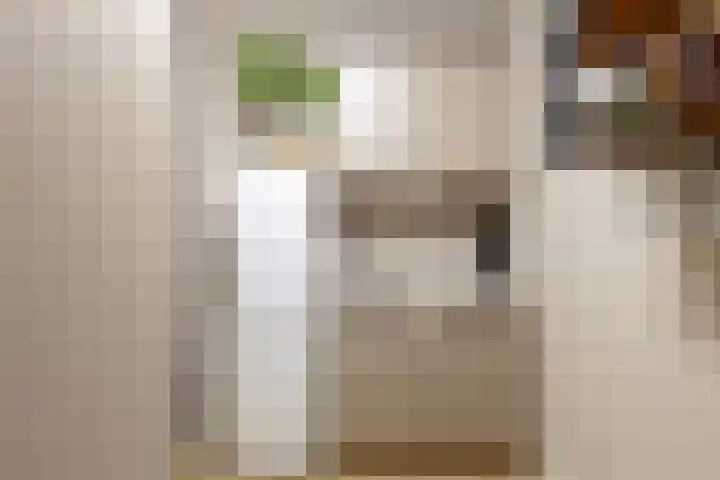 Andoorn 72 Oldenzaal thumbnail 10