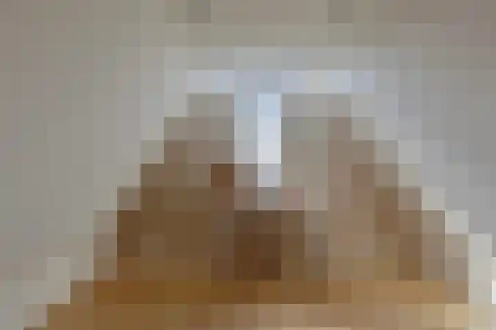Andoorn 72 Oldenzaal thumbnail 24