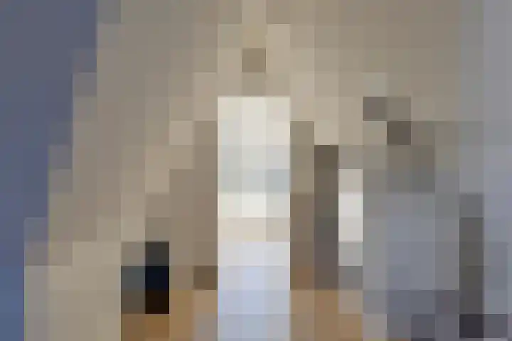 Andoorn 72 Oldenzaal thumbnail 26