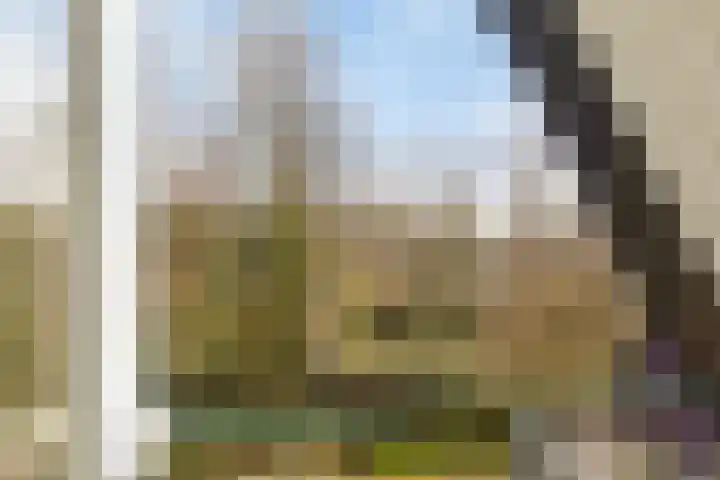 Andoorn 72 Oldenzaal thumbnail 28