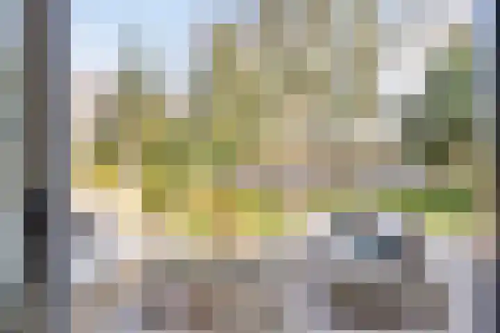 Andoorn 72 Oldenzaal thumbnail 29