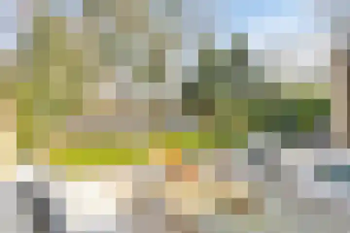 Andoorn 72 Oldenzaal thumbnail 30