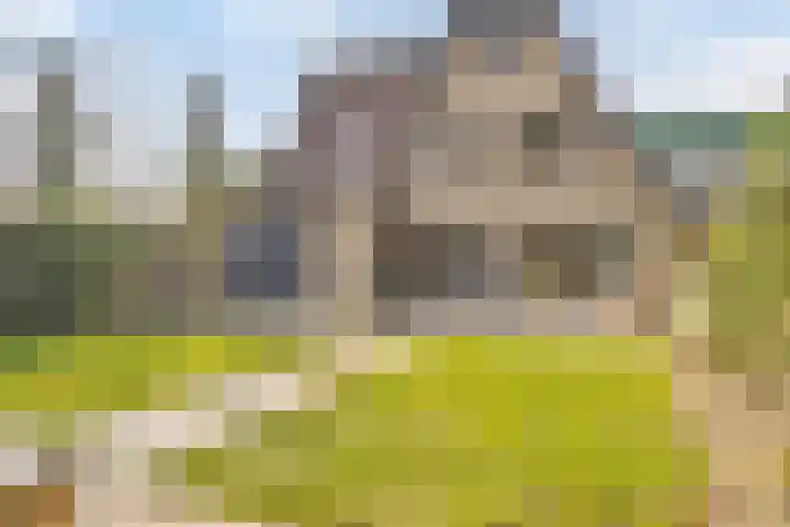 Andoorn 72 Oldenzaal thumbnail 32