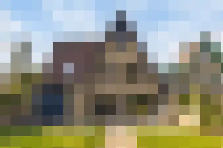 Andoorn 72 Oldenzaal thumbnail 33