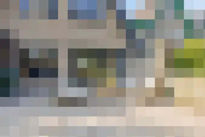 Andoorn 72 Oldenzaal thumbnail 34