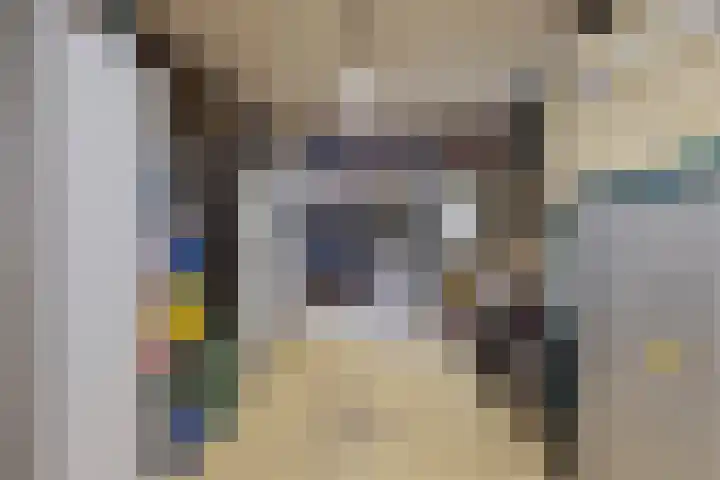 Andoorn 72 Oldenzaal thumbnail 35