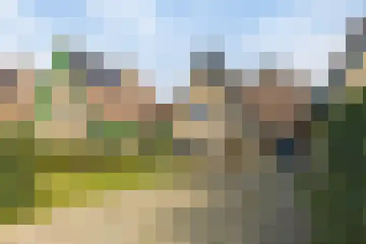Andoorn 72 Oldenzaal thumbnail 36
