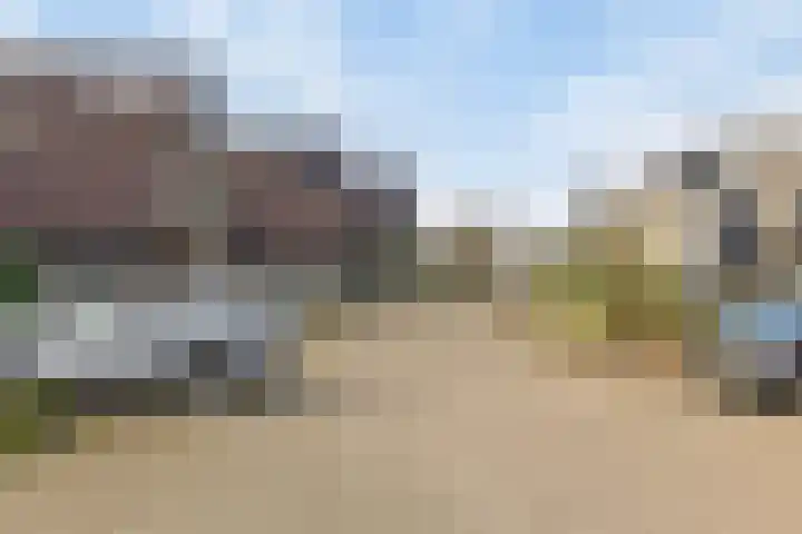Andoorn 72 Oldenzaal thumbnail 37