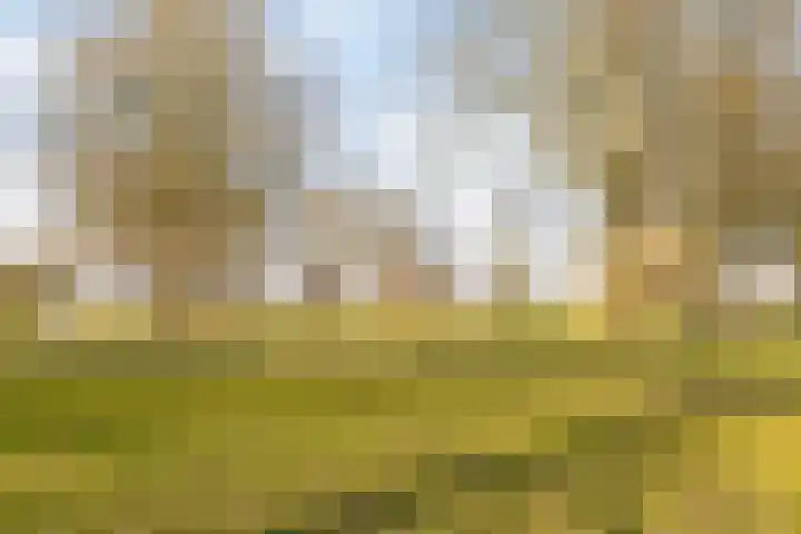 Andoorn 72 Oldenzaal thumbnail 38