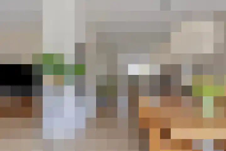 Andoorn 72 Oldenzaal thumbnail 6