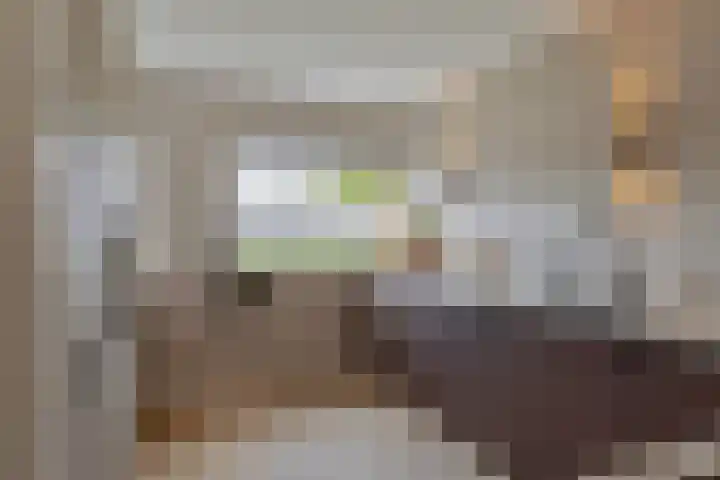 Andoorn 72 Oldenzaal thumbnail 7