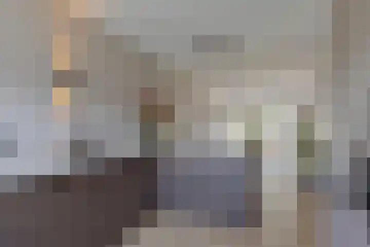 Andoorn 72 Oldenzaal thumbnail 8