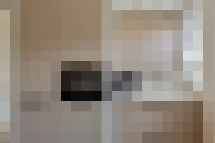 Andoorn 72 Oldenzaal thumbnail 9