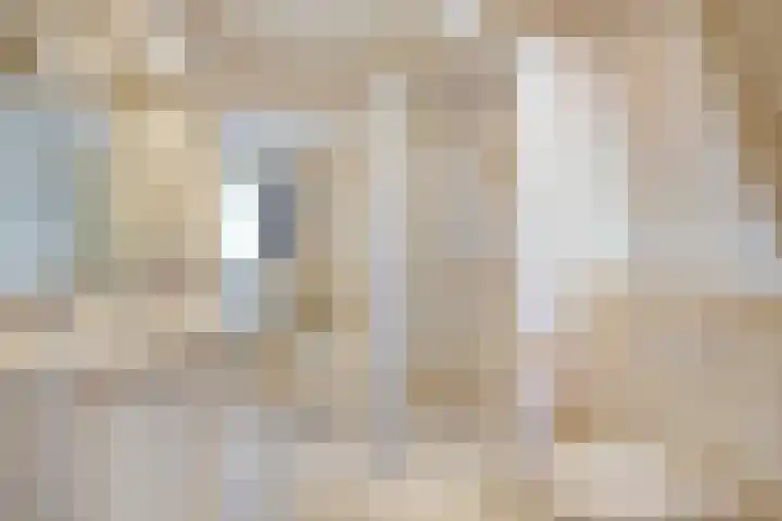 Andoorn 76 Oldenzaal thumbnail 23